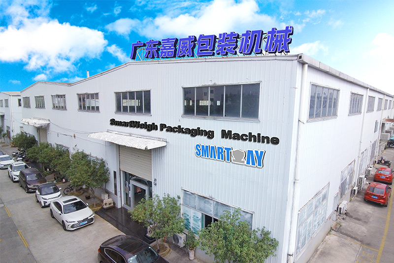 Smart Weigh-chips packing machine manufacturer
