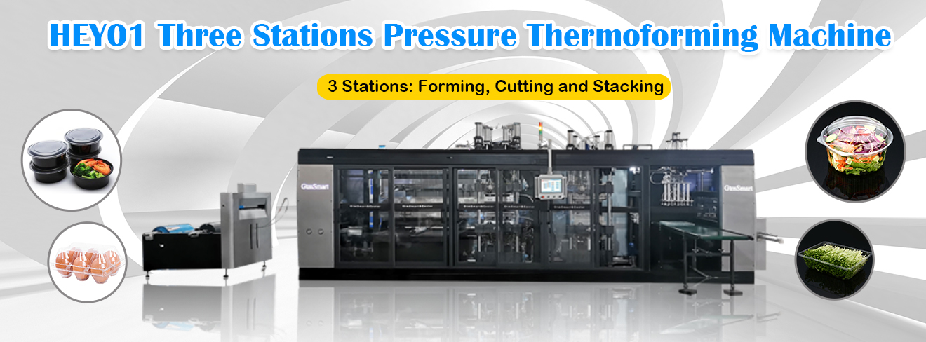 yas tsiaj thermoforming tshuab raug