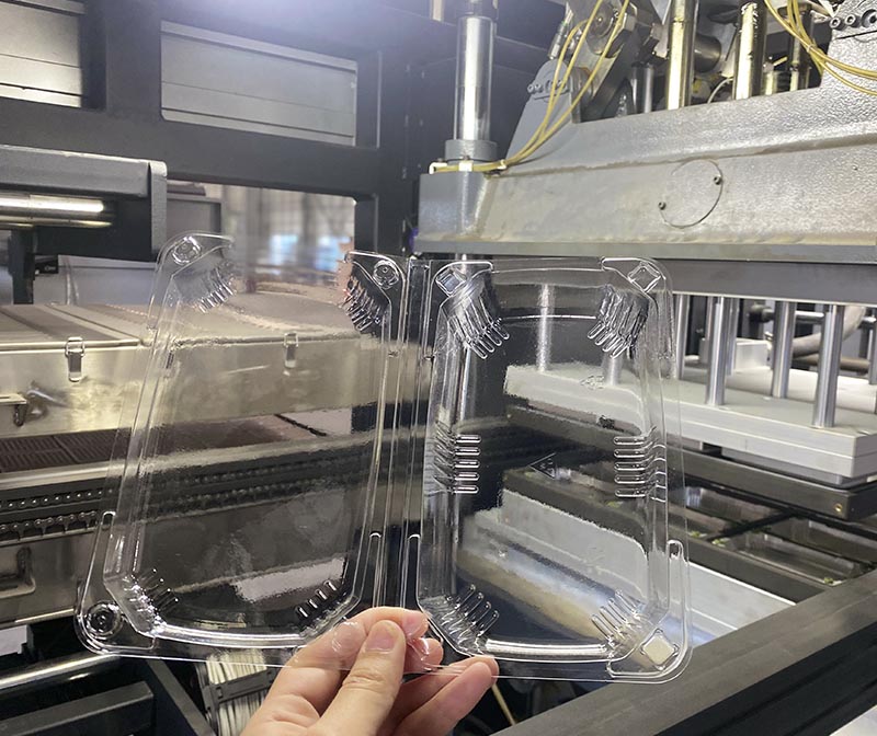  multistation thermoforming tshuab