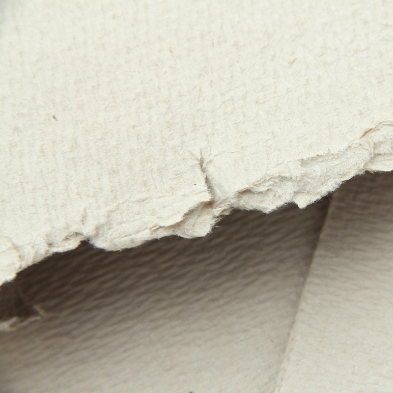 dissolving pulp suppliers