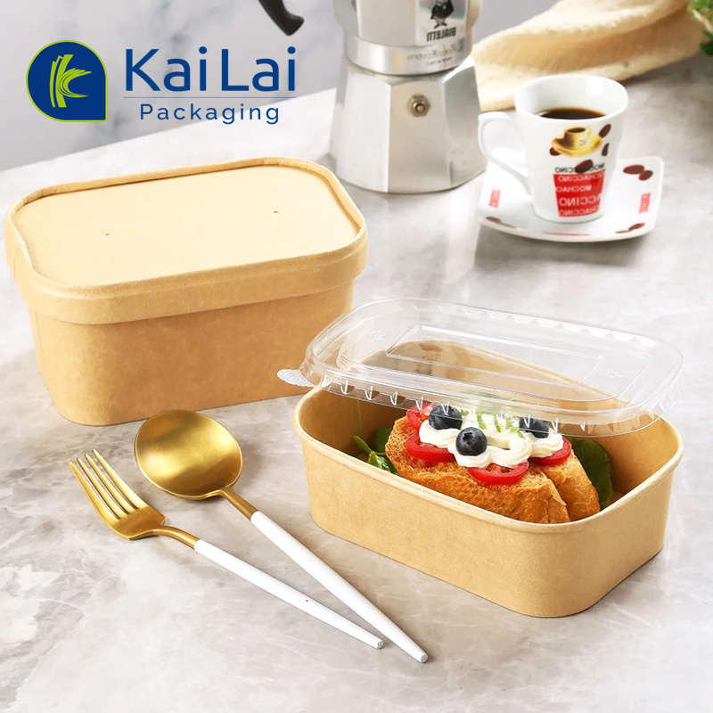 Biodegradable Eco Friendly Disposable Rectangular Square Kraft Paper ...