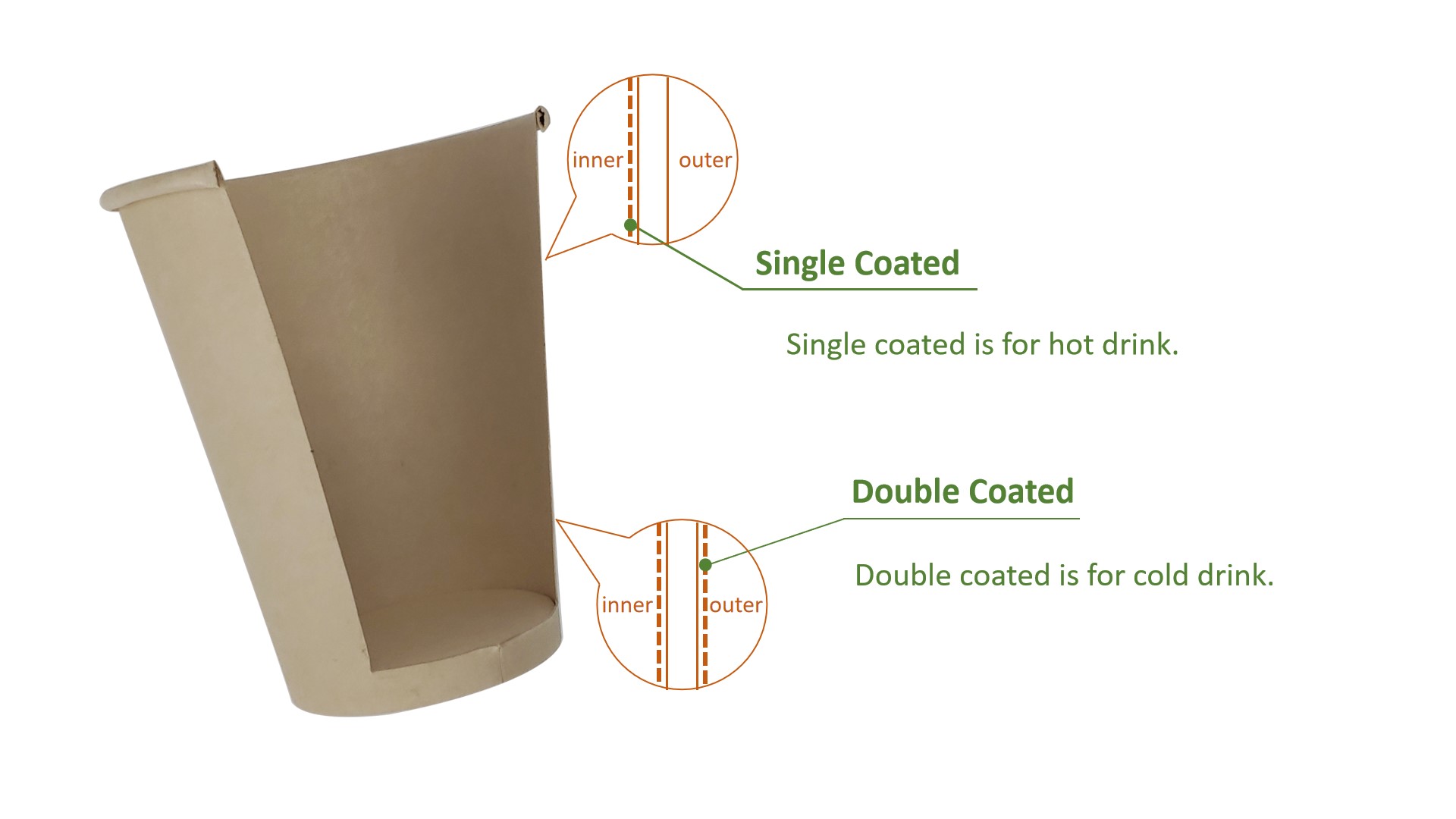 Single coated vs double coated paper cup wall construction - KaiLai Packaging