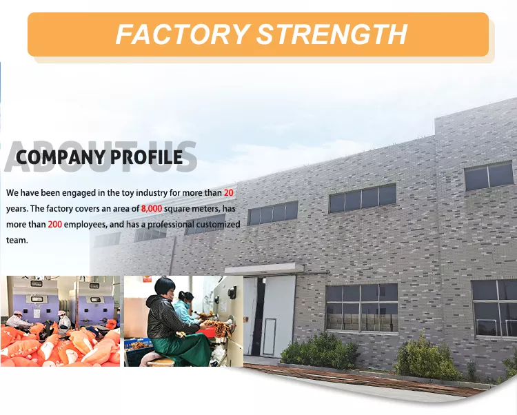 chaoman factory