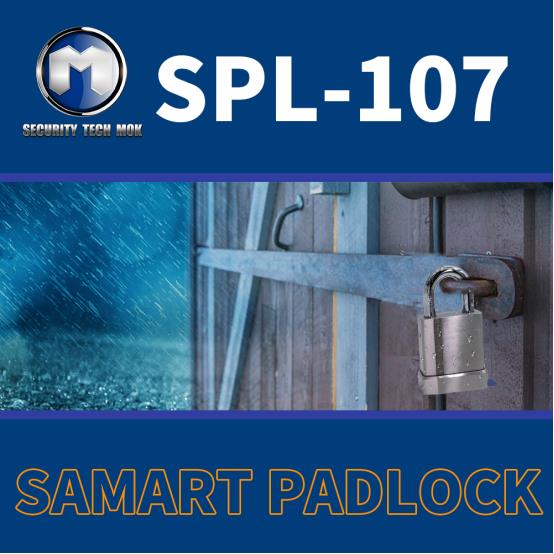 Types of smart door locks