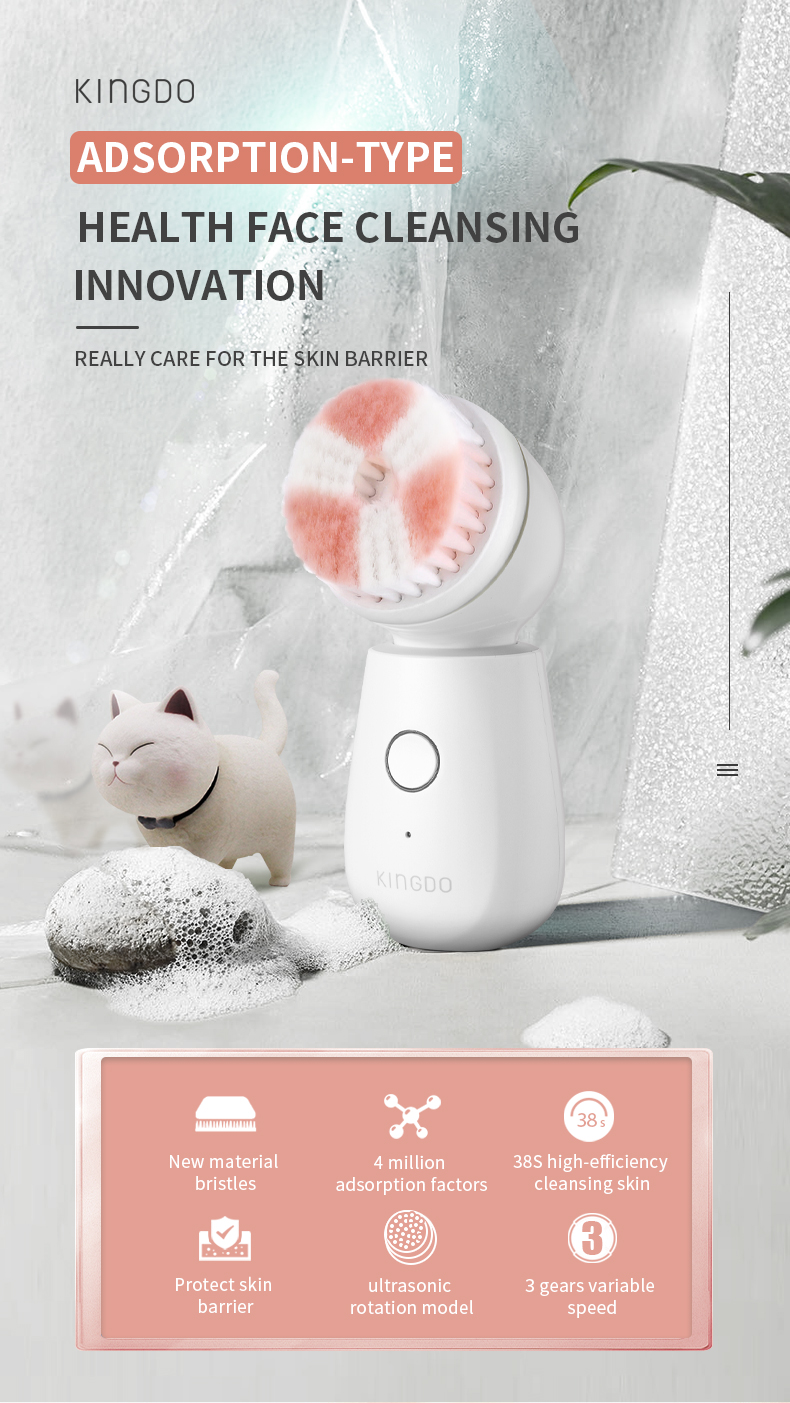 facial spin brush