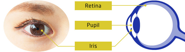 iris recognition technology