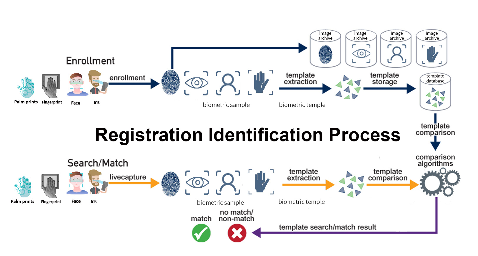 Biometric KYC Solutions - HFSECURITY