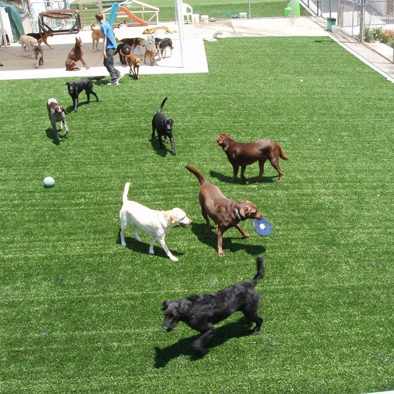 Does artificial turf work well with dogs?
