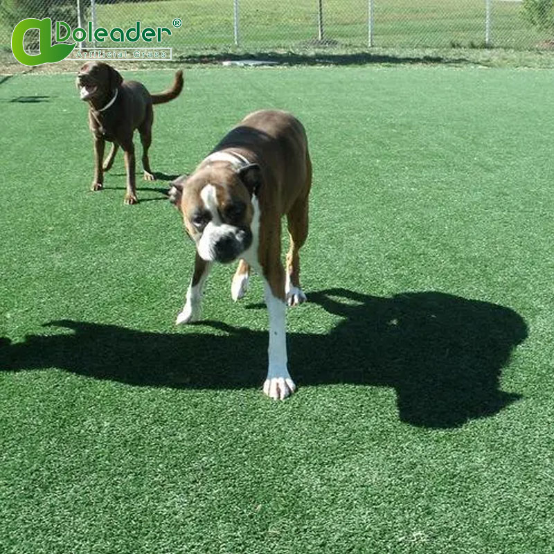 Pros and cons of artificial grass with dogs