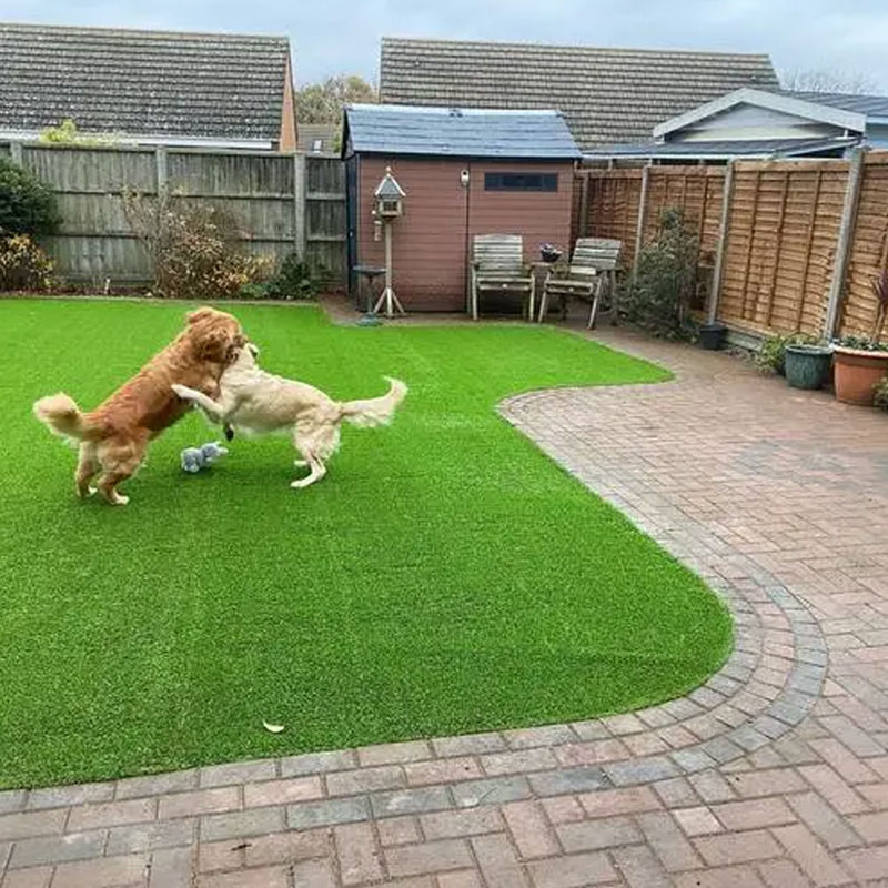 how-to-maintain-artificial-grass-with-dogs