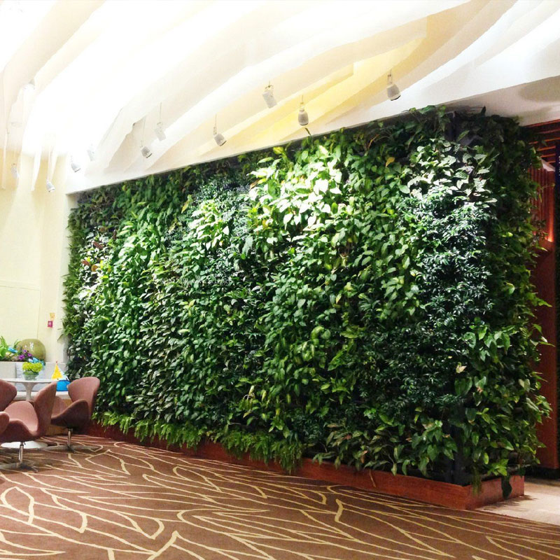 How to install artificial green wall？