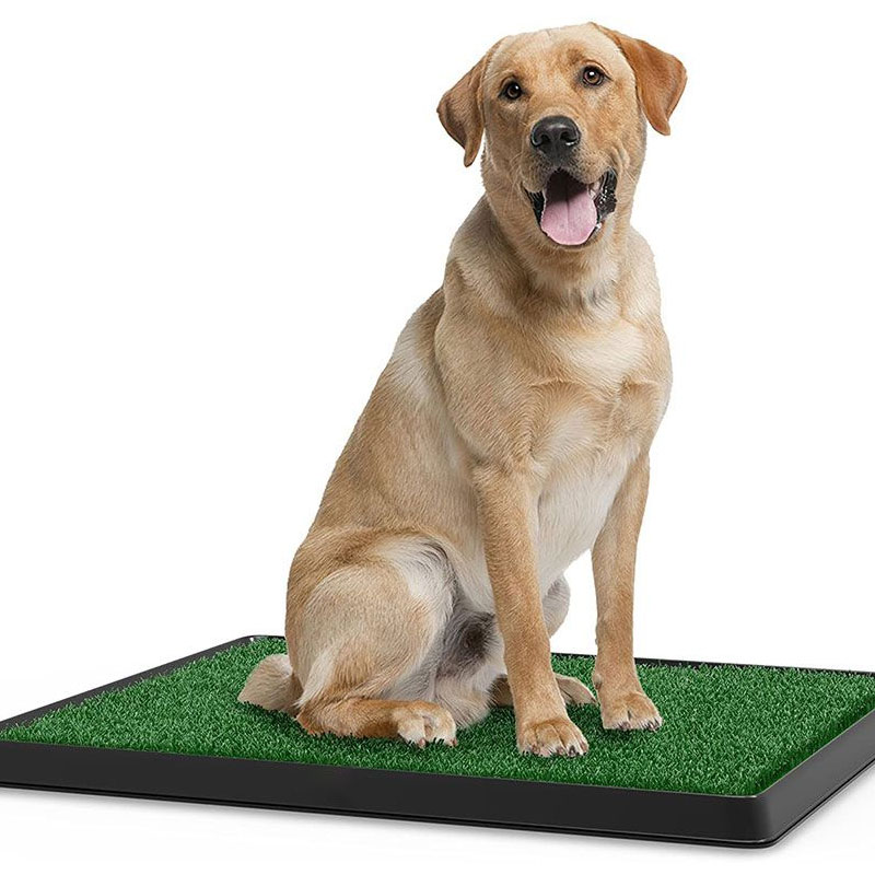 how-to-clean-fake-grass-pee-pad