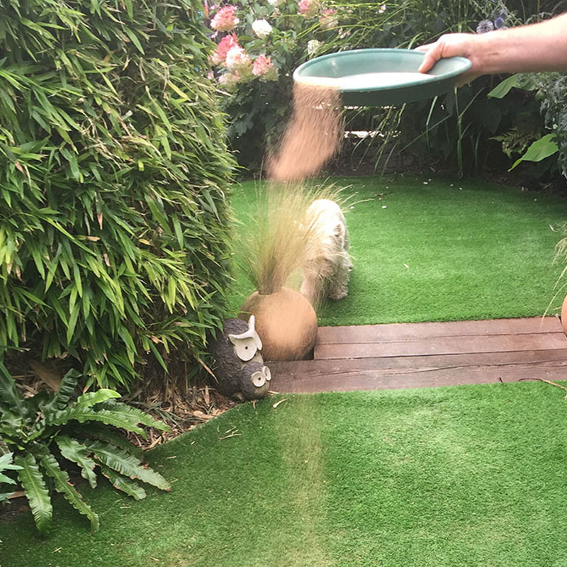 how-to-prevent-and-eliminate-dog-pee-odor-from-artificial-grass