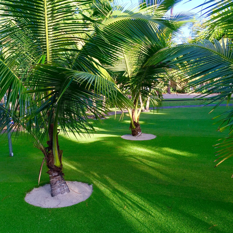 Artificial Turf for Water Conservation How It Can Help You Save Water