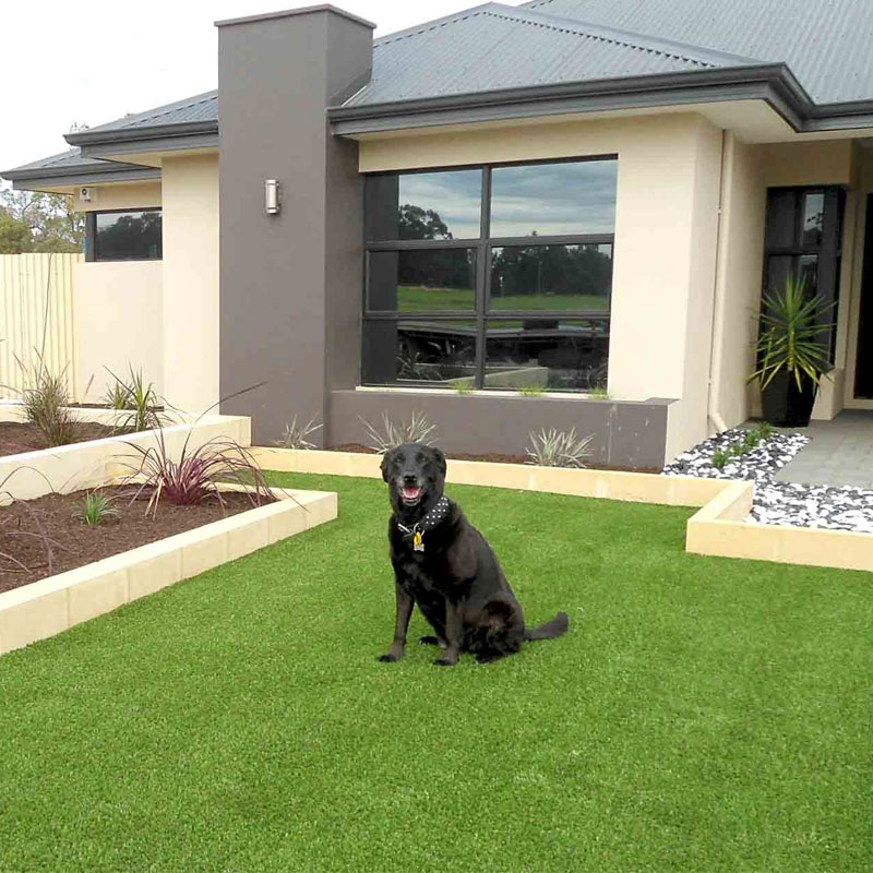 what-s-the-best-set-up-for-artificial-grass-to-avoid-dog-urine-smell