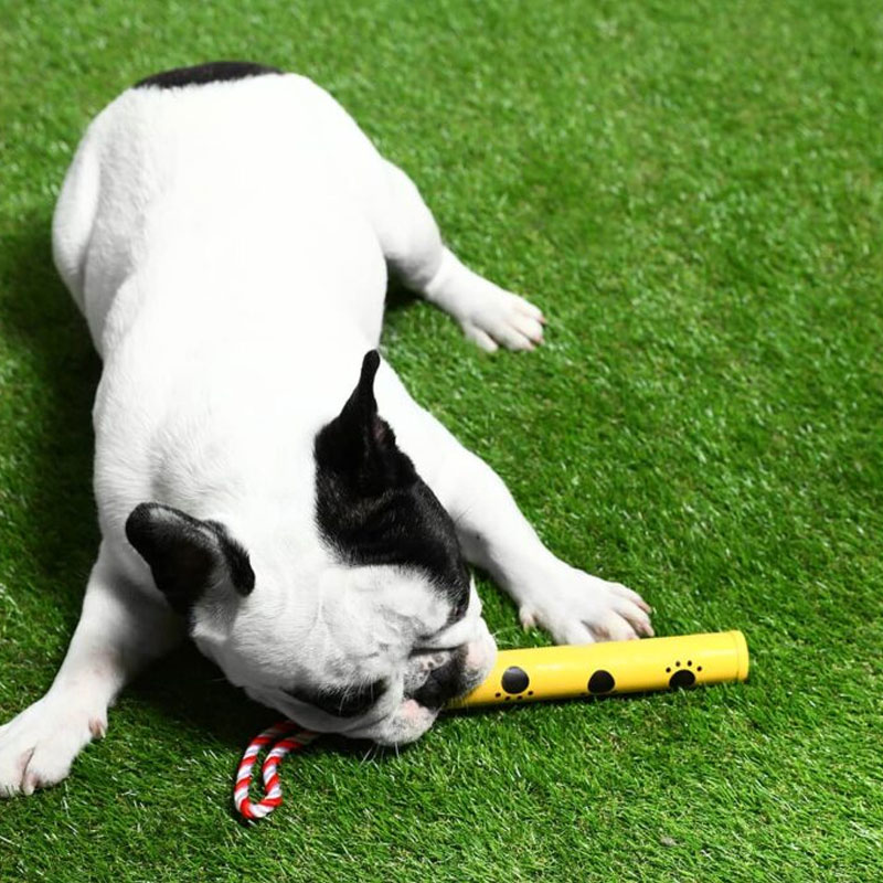What artificial turf is best for dogs？ Doleader