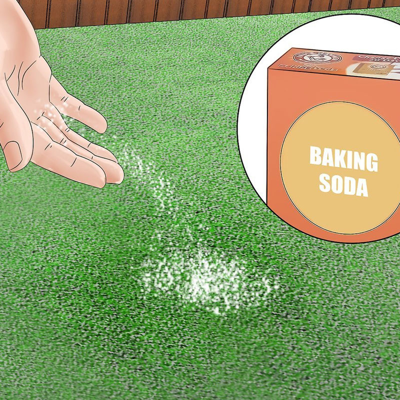 Using Baking Soda on Artificial Grass Tips for Cleaning and Deodorizing Doleader