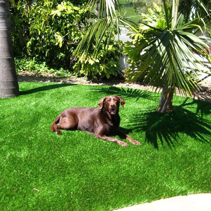 How to Make Artificial Turf Smell Better？ Doleader