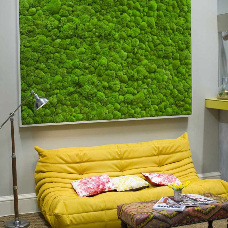 Create A Lush Green Moss Wall With Faux Moss Doleader