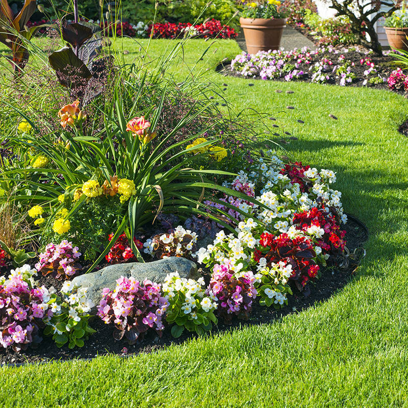 Installing artificial turf around garden beds doleader