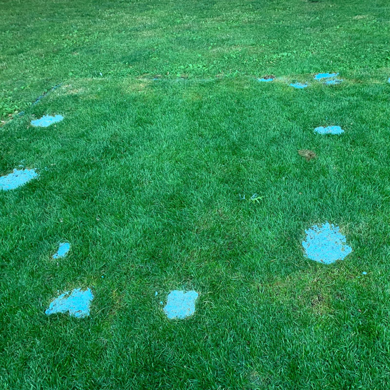 Repairing dog urine spots on fake grass | Doleader