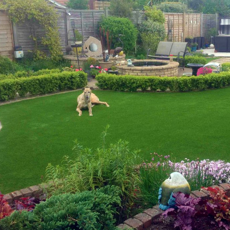 Repairing dog scratches on fake grass Doleader