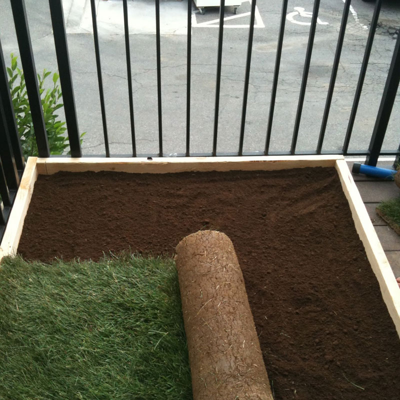 Diy artificial turf pet potty patch Doleader