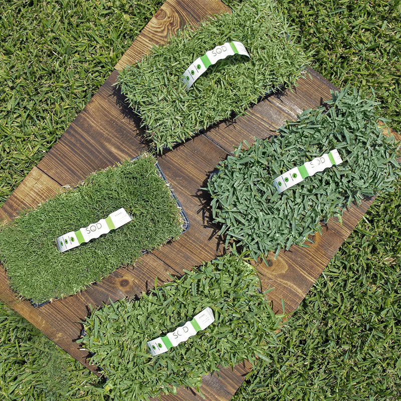 What are artificial grass plugs? Doleader