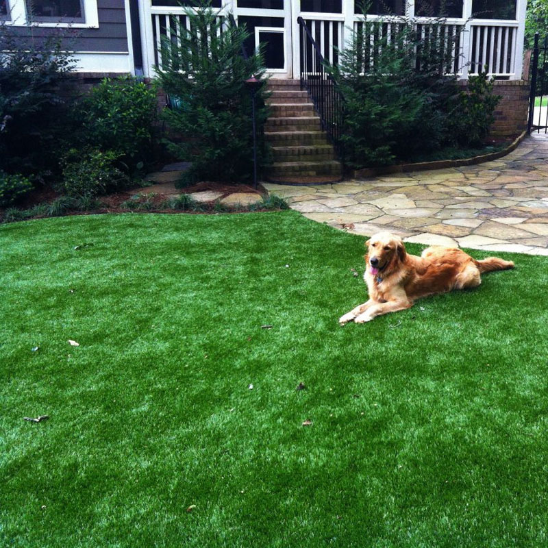 how-to-clean-artificial-grass-for-dogs-doleader