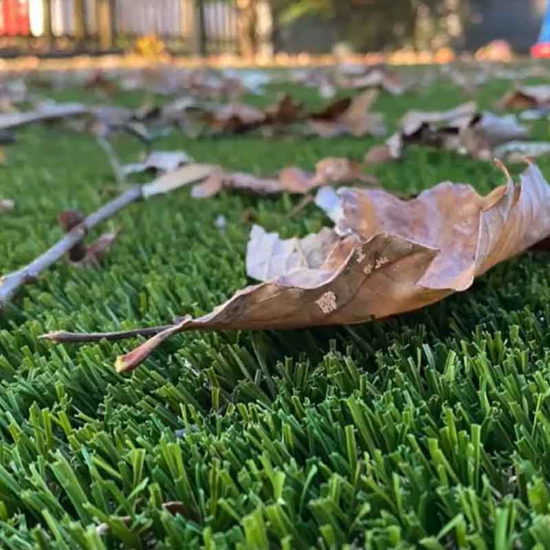 Removing Leaves from Artificial Grass Doleader
