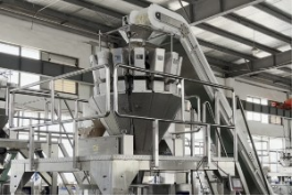 construction of granules packing machine