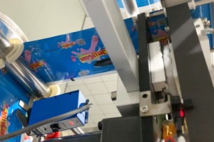 construction of milk powder packing machine