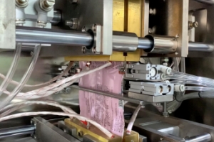 construction of irregular shape pouch packing machine