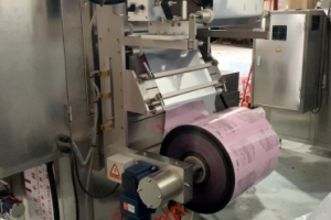 construction of irregular shape pouch packing machine