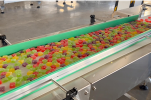 construction of candy wrapping machine