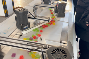 construction of candy wrapping machine