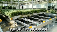 Planting System(Seedbed)