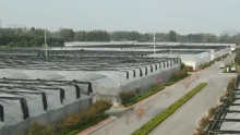 HighQuality Film greenhouse Wholesale