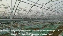 Best Plastic Film Greenhouse Supplier