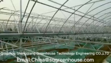 HighQuality agricultural greenhouse Wholesale-Qingzhou Shengqiang Greenhouse Technology Engineering Co., Ltd.