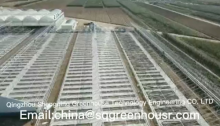 China greenhouse cooling system manufacturers-Shengqiang Greenhouse