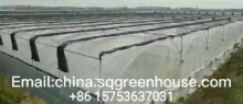 Introto greenhouse cover Shengqiang Greenhouse