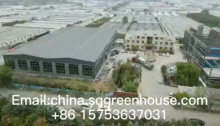 Wholesale greenhouse plastic material withgoodprice-Shengqiang Greenhouse