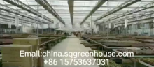 Customized in-solar greenhouses manufacturers FromChina