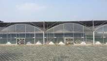 High Tunnel Plastic Film Greenhouse Multi-span Greenhouses