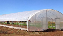 High Tunnel greenhouse agricultural polytunnel greenhouse for vegetables