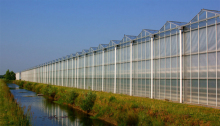 Polycarbonate Greenhouse Automatic Agriculture Multi-span Greenhouses