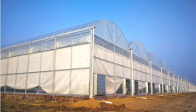 Commercial High Tunnel Plastic Film Greenhouse Multi-span Greenhouses