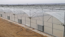 Shengqiang multi-span tunnel agriculture film plastic greenhouse manufacturer for sale