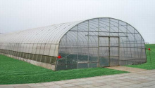 Agricultural Tunnel Greenhouse Plastic Film Single-Span Film Greenhouse Sunlight Greenhouse for Sale